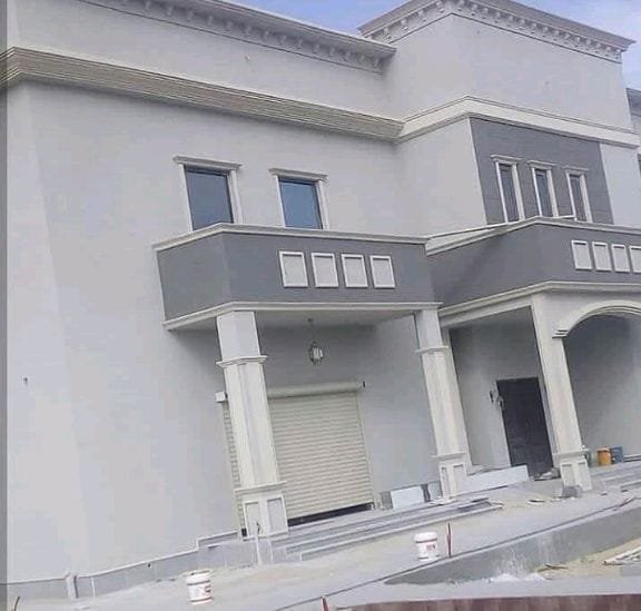 اصباغ ودهانات